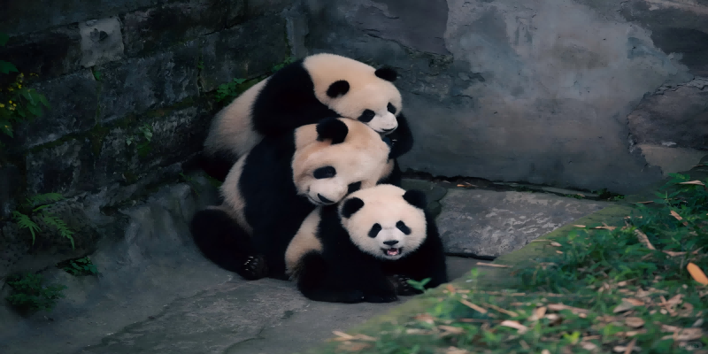 企业微信截图_17436475012608(1).png