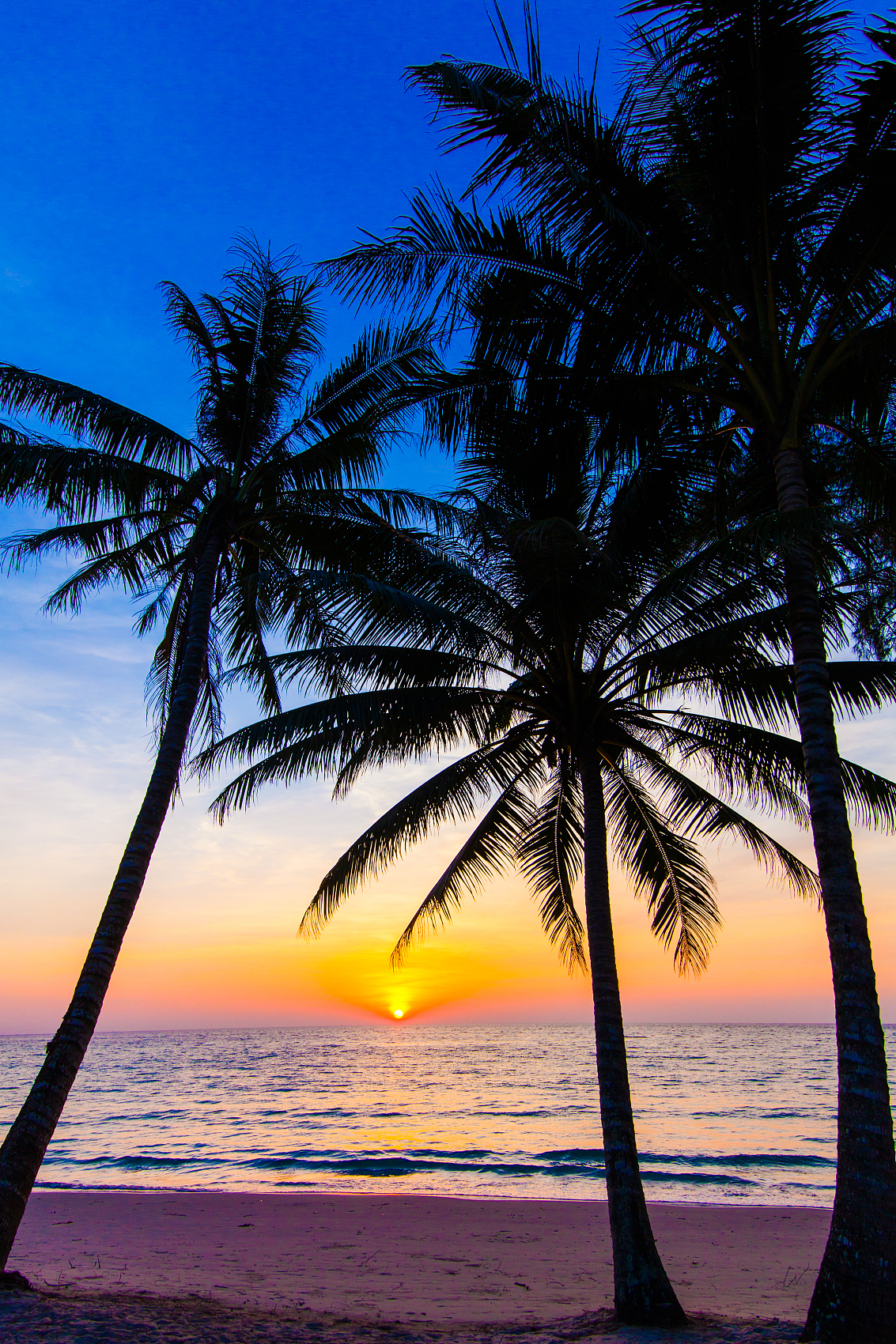 Essence of Hainan Hot Spring Rainforest
