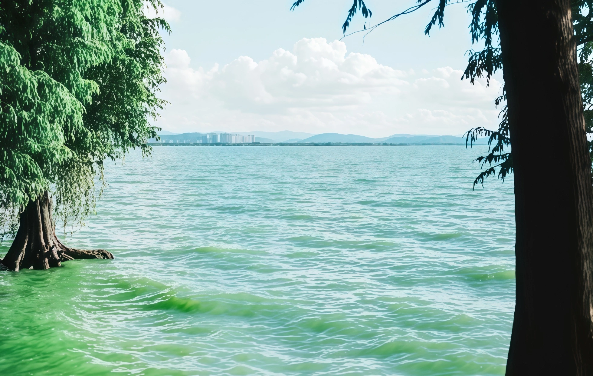The Secret realm of the Stone Forest and the flowing light of Dianchi Lake