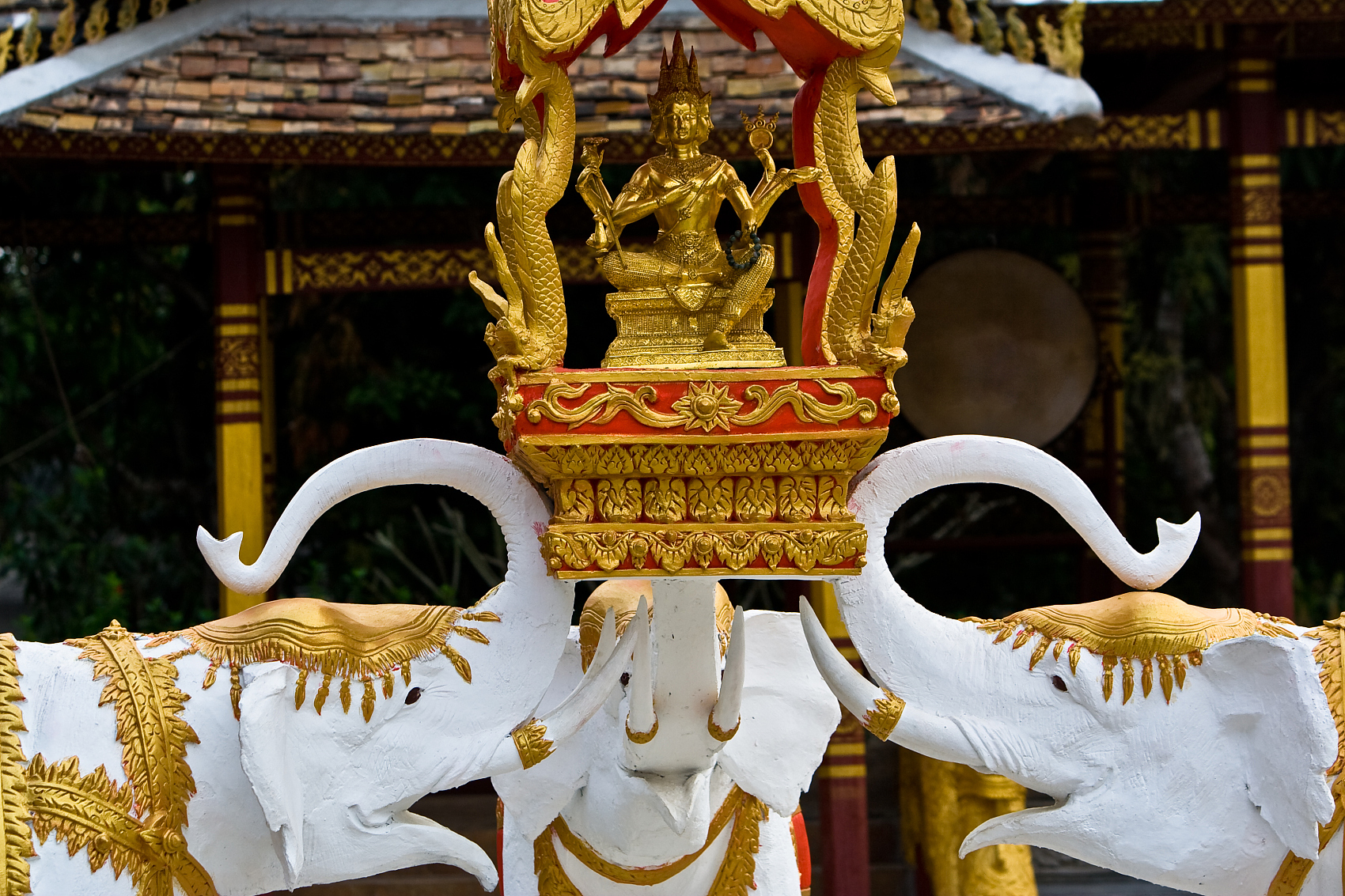 Fly to the tropical rainforest