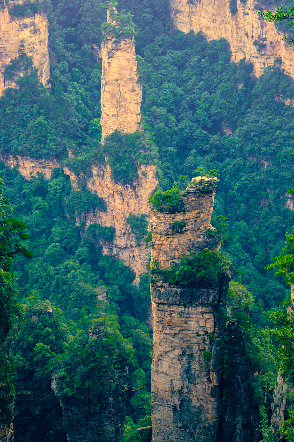 Yuanjiajie and Tianzishan