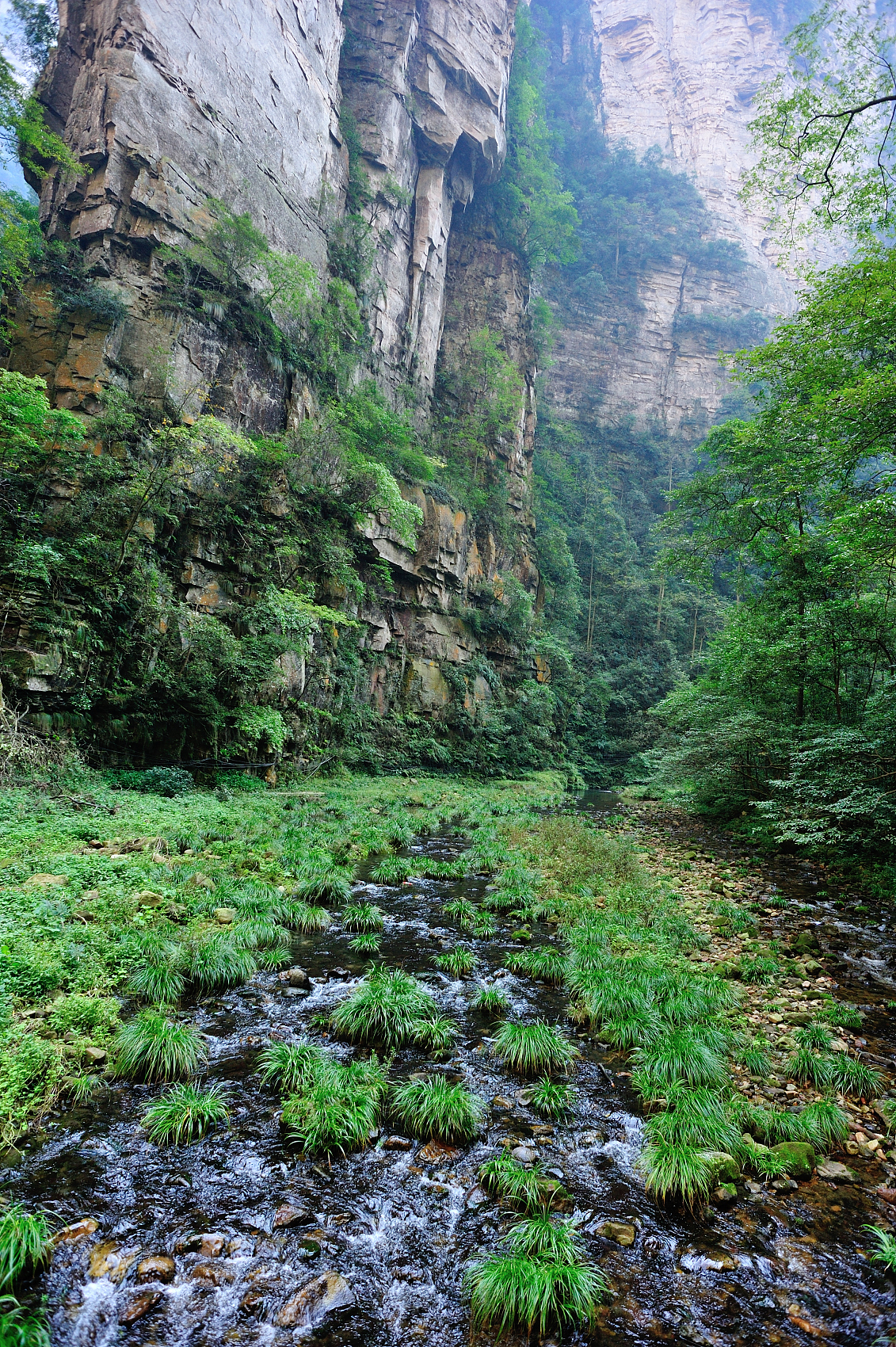 Yangjiajie Peak Wall and Golden Whip Creek Light Hiking