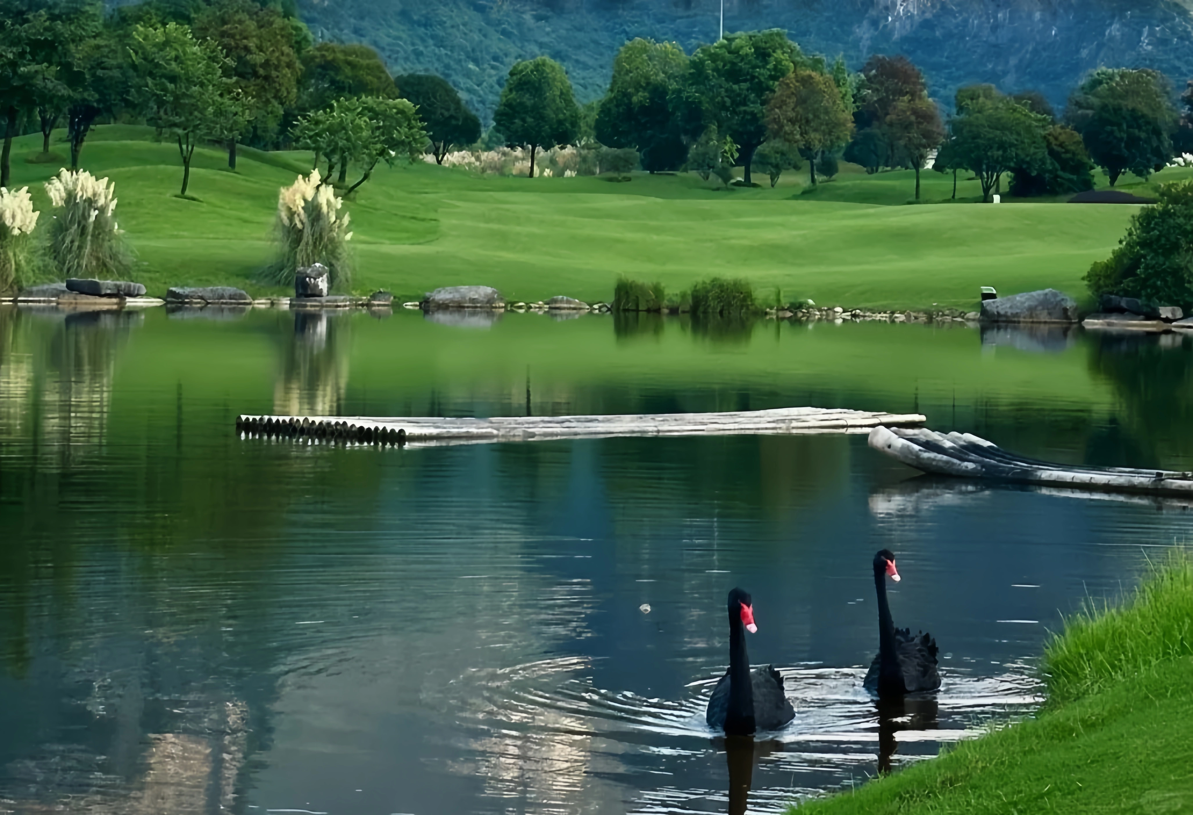 The Vitality of Mountains and Rivers and Their Inner Flow