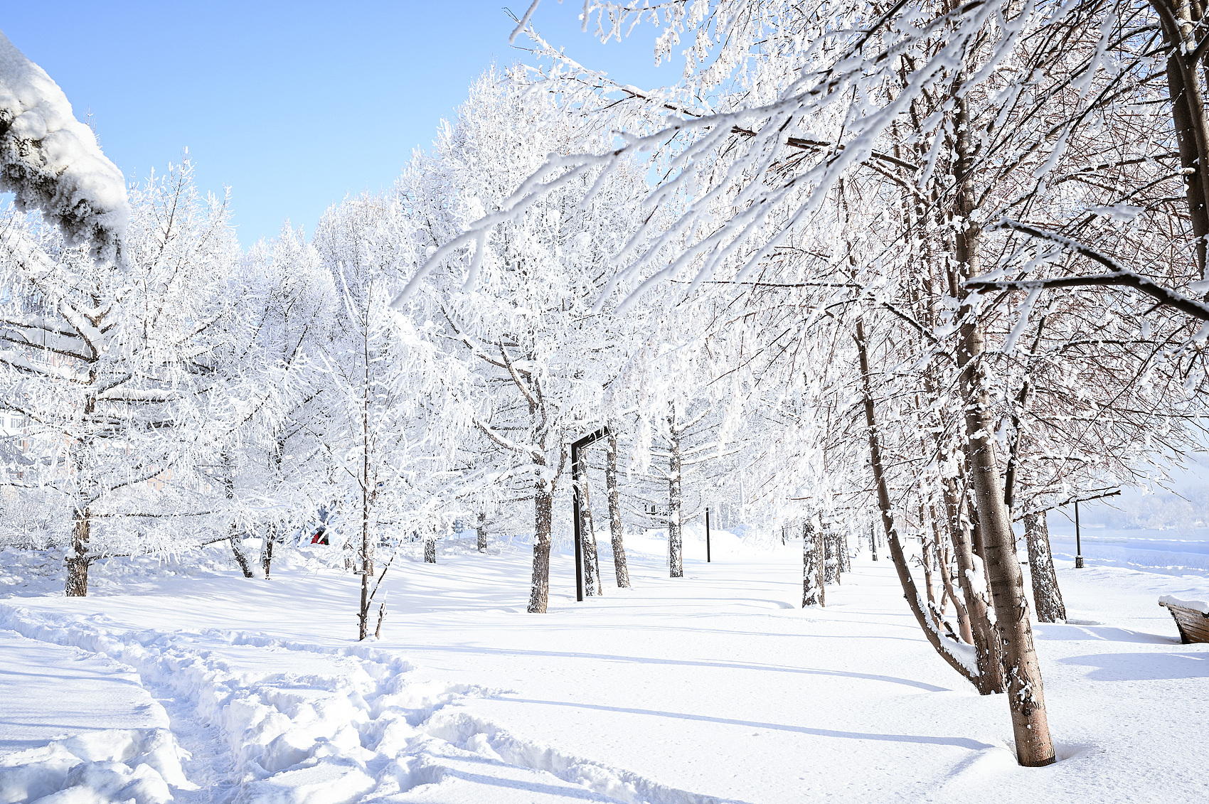 Free exploration or deep customization