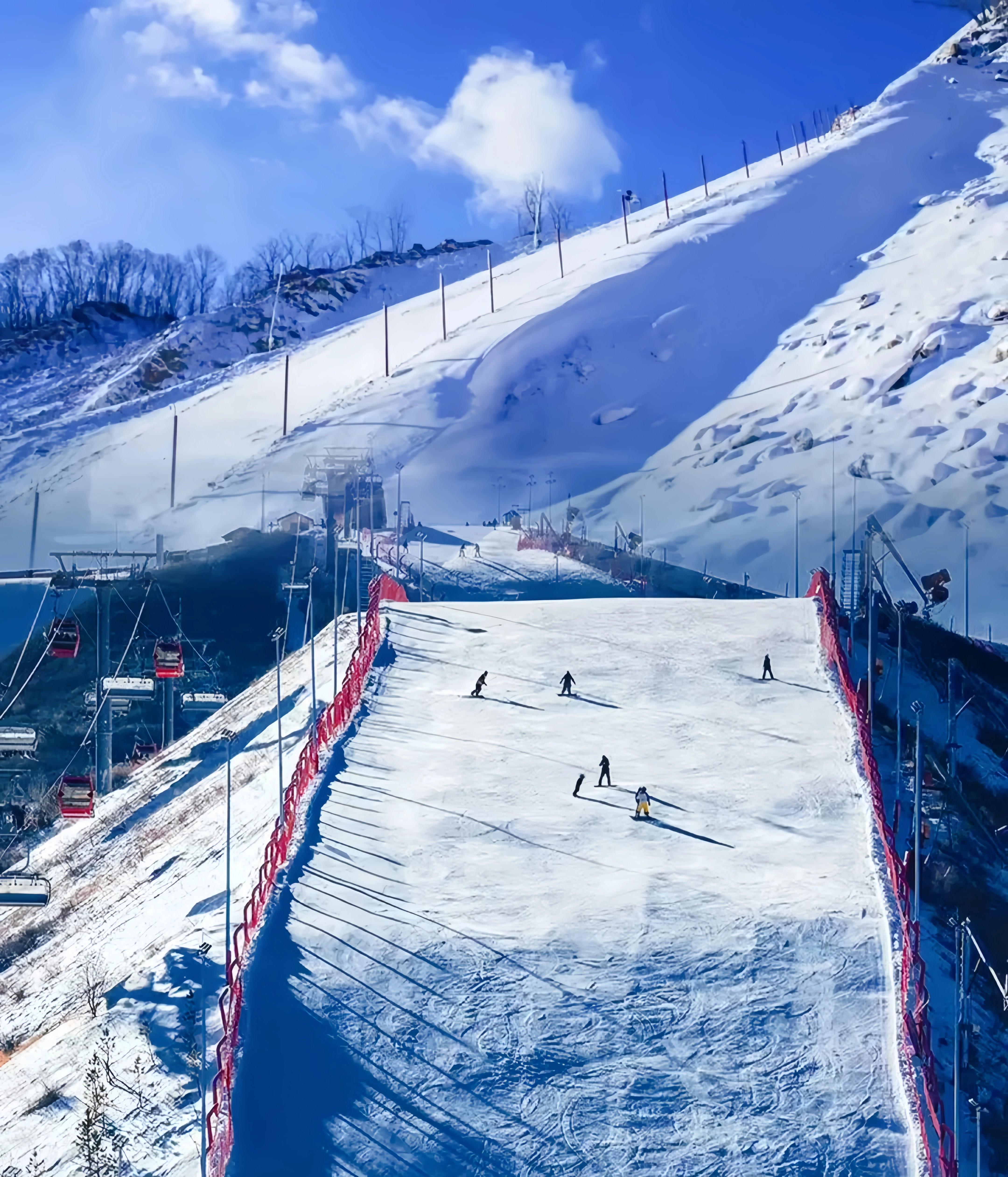 Peak Moment - Private Helicopter Sightseeing and Wild Snow Exploration